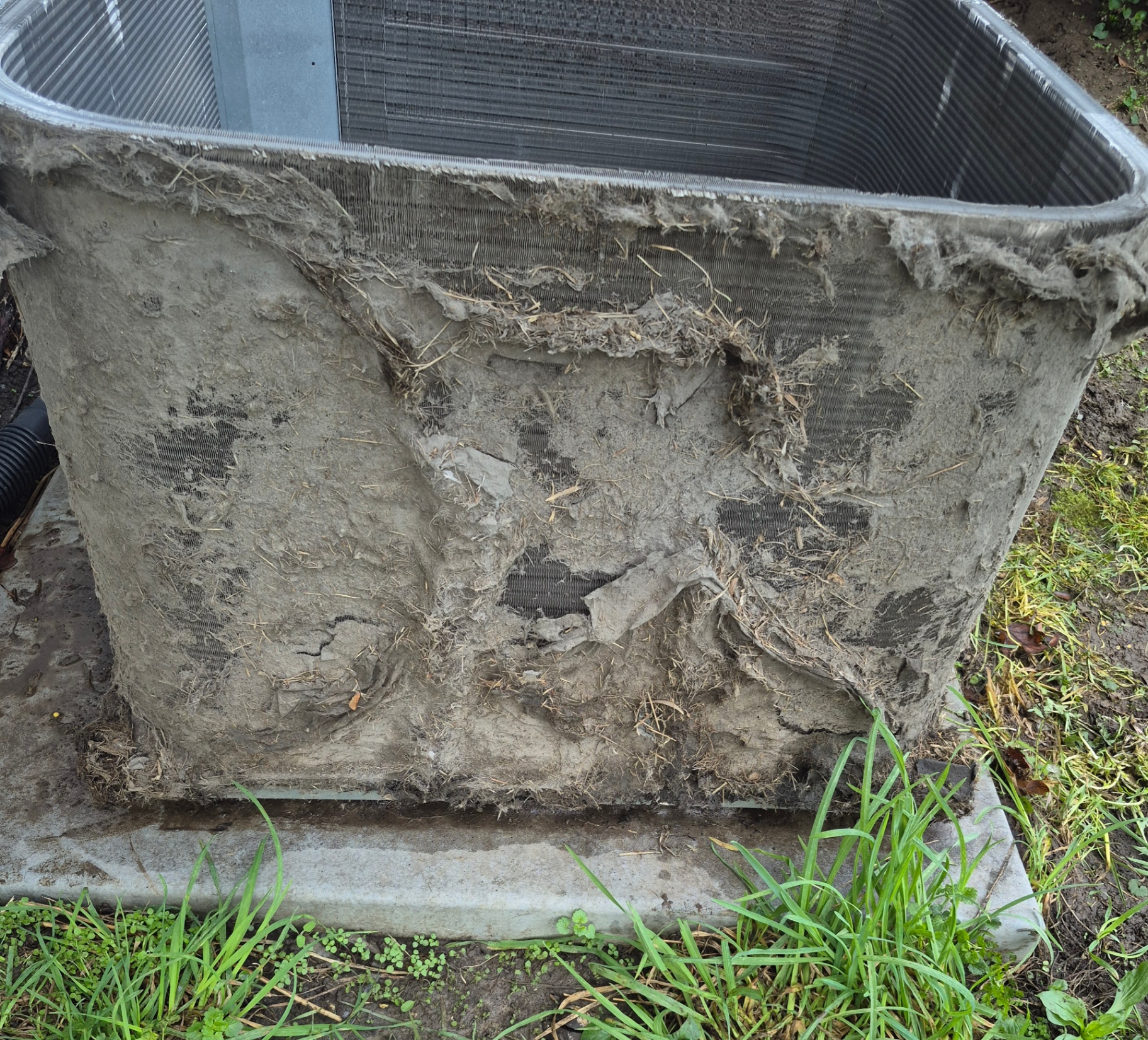 Condenser coil clogged with cottonwood and debris